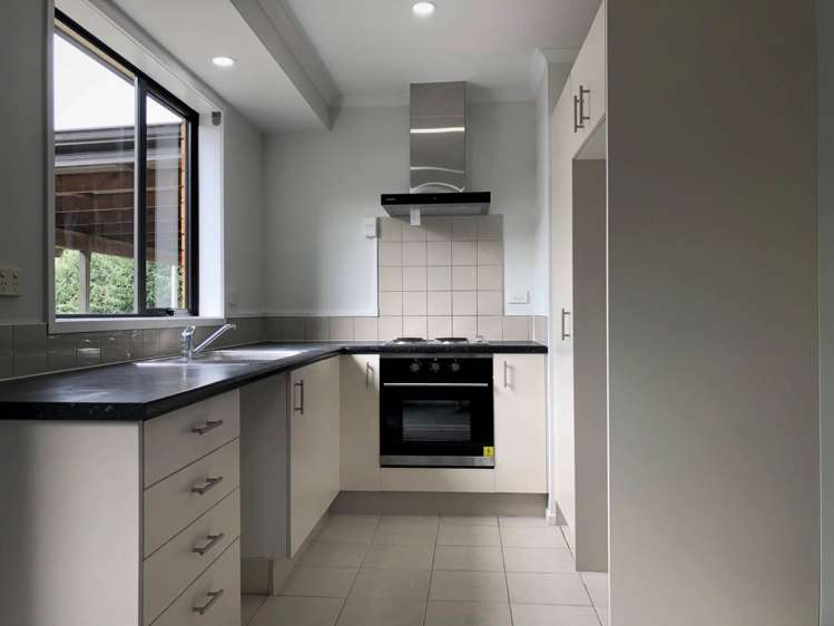 293C Hillsborough Road Mt Roskill_2