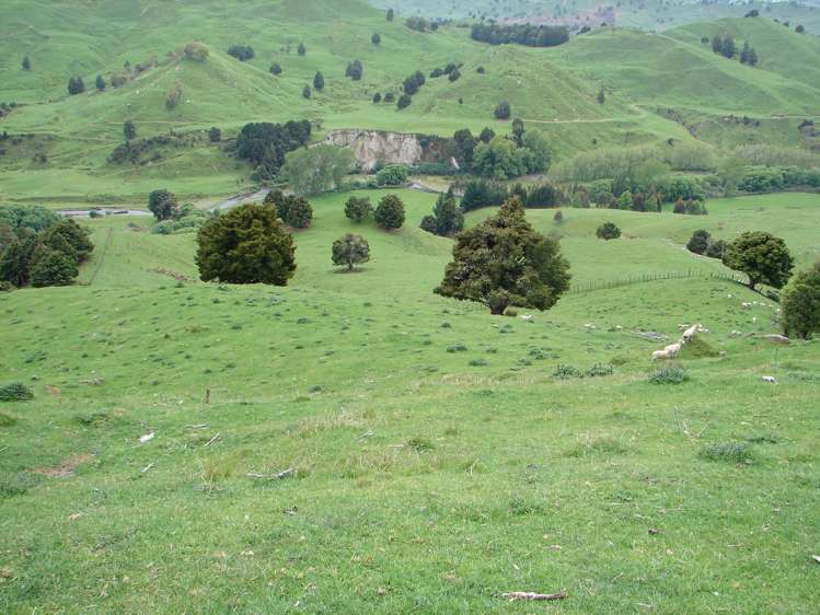 1742 Taringamotu Road Taringamotu_6