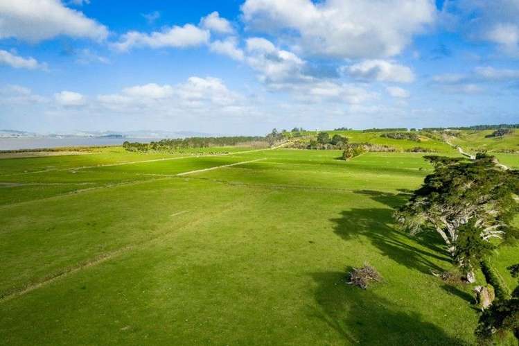 2611 Pouto Road Te Kopuru_5