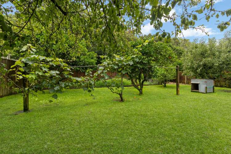 335 River Road Kawerau_11