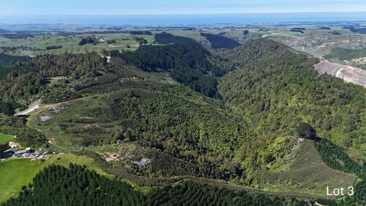 Lot 3 and 7/1005 Rangitatau East Road Kai Iwi_7