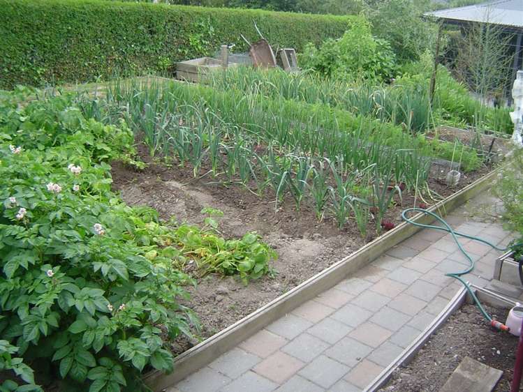 8 Darby Street Geraldine_18