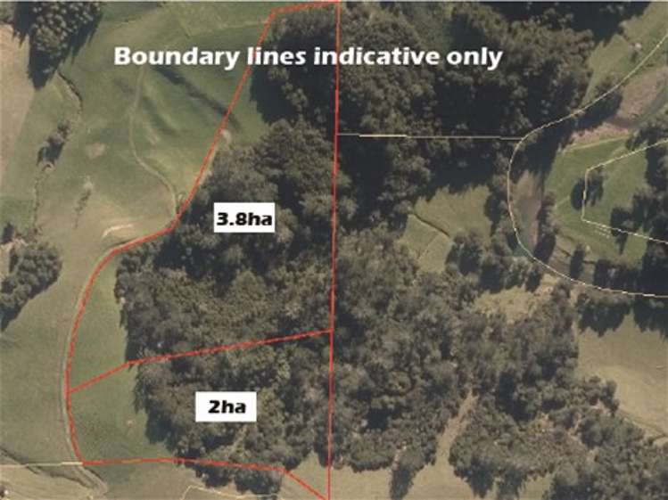 69 Fraser Road Kawakawa_10