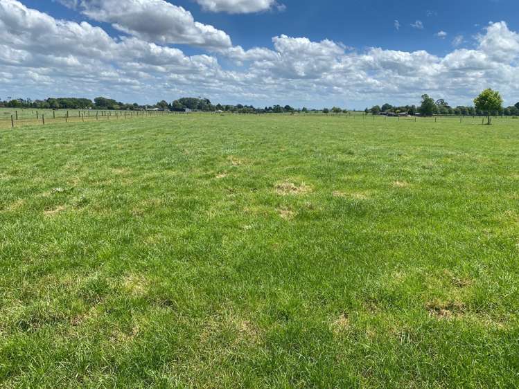 770C Gordonton Road Gordonton_26