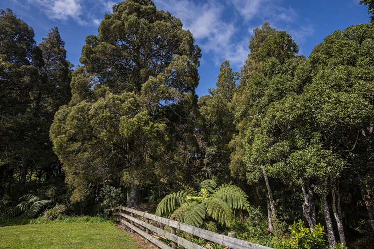 148 Karanui Road Kamo_23