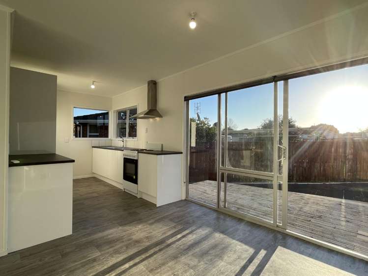 156 Chichester Drive 10938_3