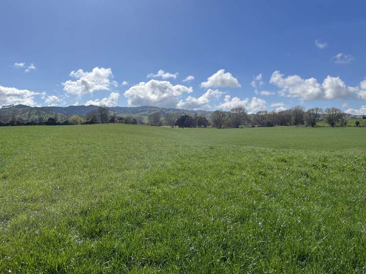 Mangawara Road Tahuna_2