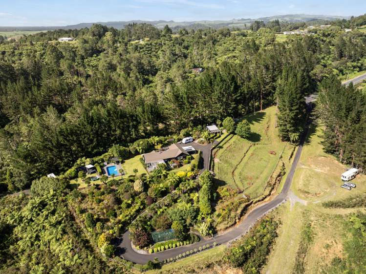 2252 SH29 Lower Kaimai_3