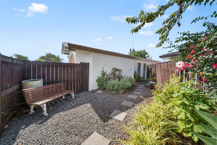 20A Taonui Street Rosehill_21