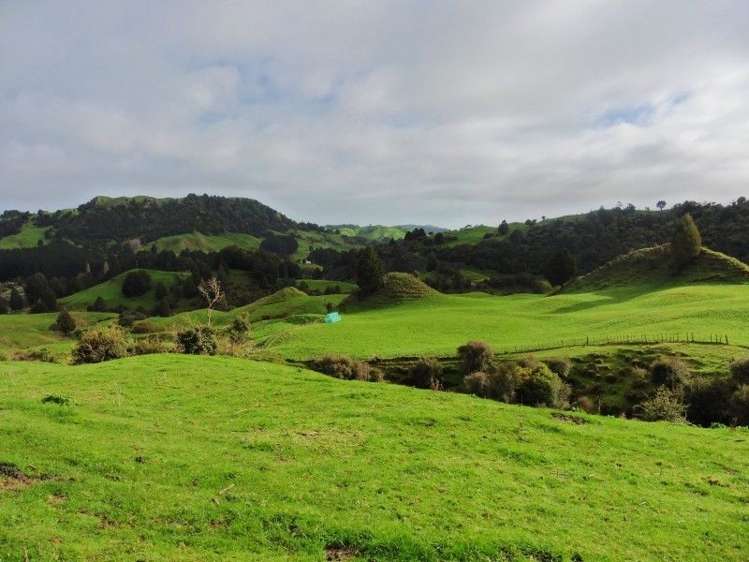 2837 State Highway 4 Aria_34