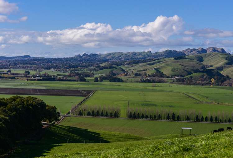 133 Enfield Drive Pakipaki_10