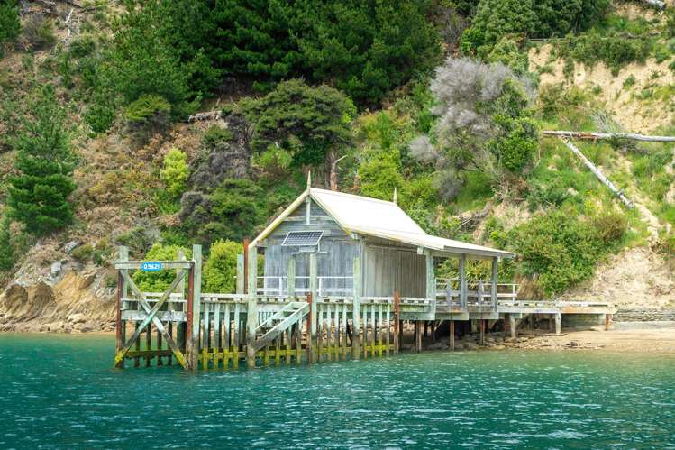 Ahitarakihi Bay Marlborough Sounds_33