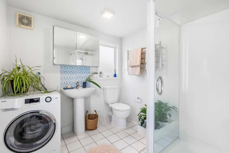 32 Alexander Street Kingsland_14