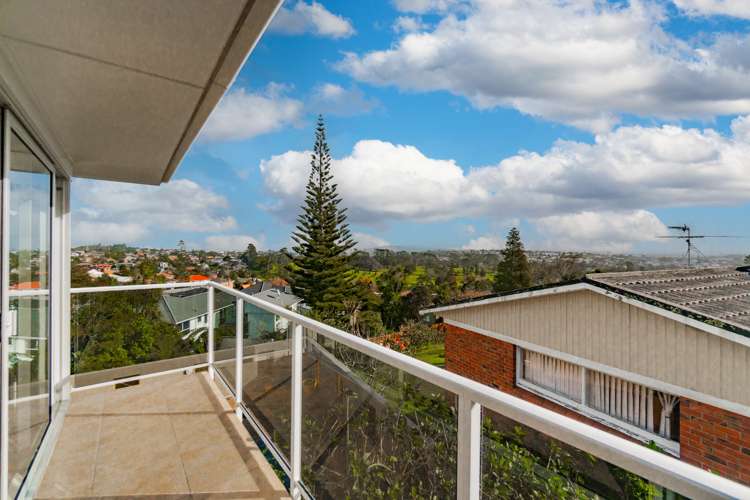 20 Katavich Place Mount Roskill_13