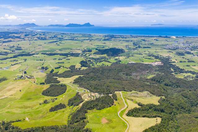 Your ultimate family getaway in Waipu