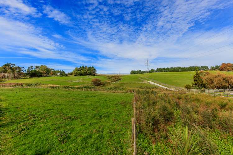 53 Follies Way Dairy Flat_15