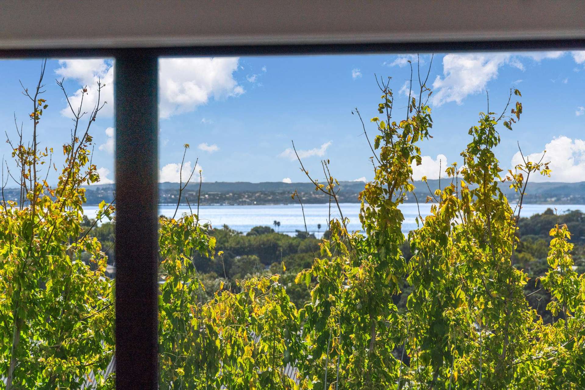 7 Ariki Street Grey Lynn_0