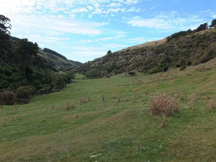 831 Chorlton Road Little Akaloa_35