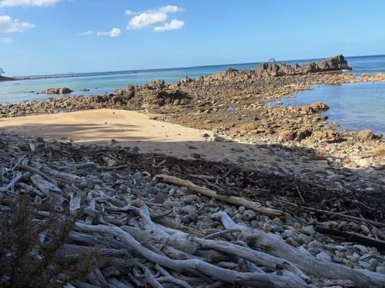 554 Boat Harbour Road Whenuakite_30