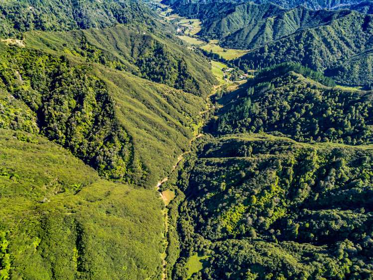 1870 Okau Road Urenui_15