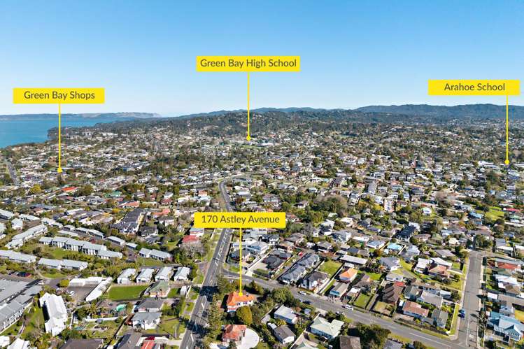 170 Astley Avenue New Lynn_19