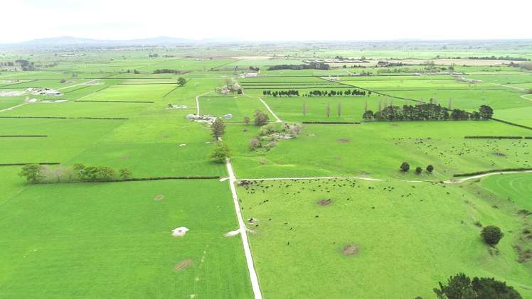 12/1212A Tower Road Matamata_16