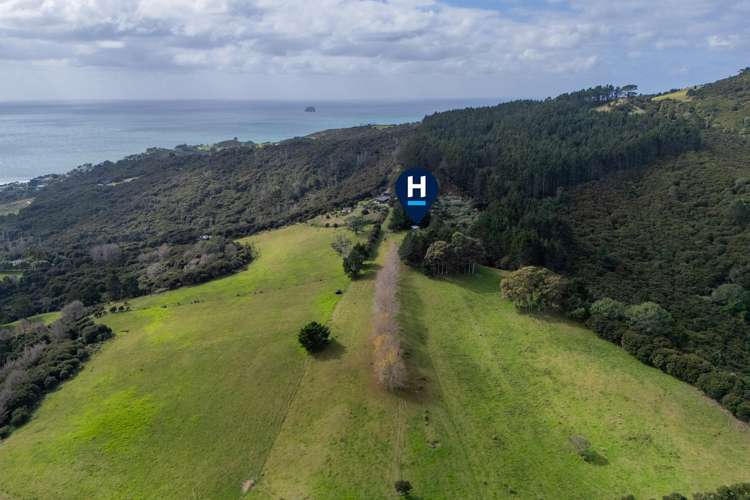 425n Boat Harbour Road Whenuakite_5