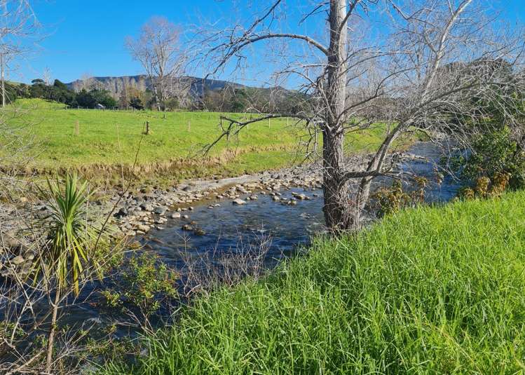 52B Hooks and Halls Road Waimamaku_12