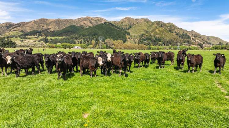 10 Chatterton Road Hanmer Springs_15