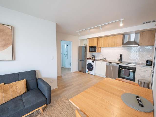 241 Castle Street Dunedin Central_1