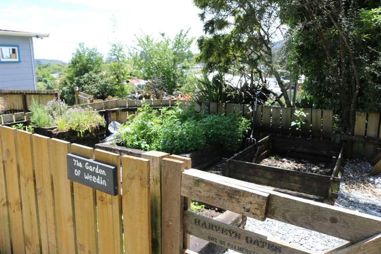 9 Ross Street Dunollie_18