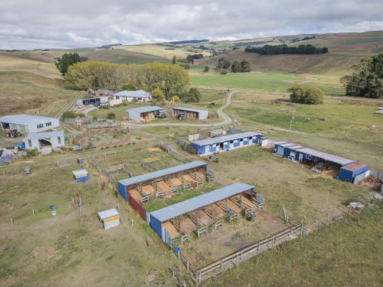 413 Sterndale Valley Road Pleasant Point_5