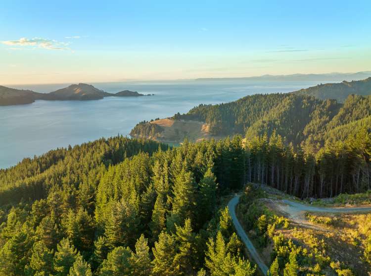 1892 Port Underwood Road Port Underwood_8