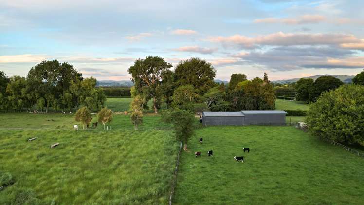 509 Marychurch Road Matangi_41