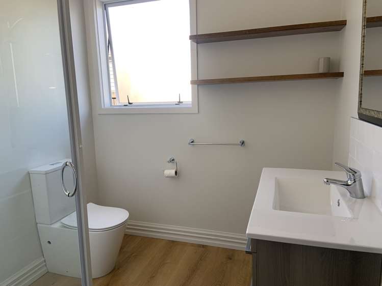  40 Browning Street Sydenham_11