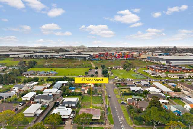 37 Vine Street Mangere East_3