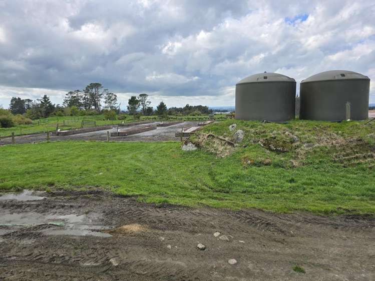 452 Surrey Road Rd 8_6