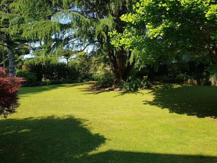 2b Wellington Street Waihi_19