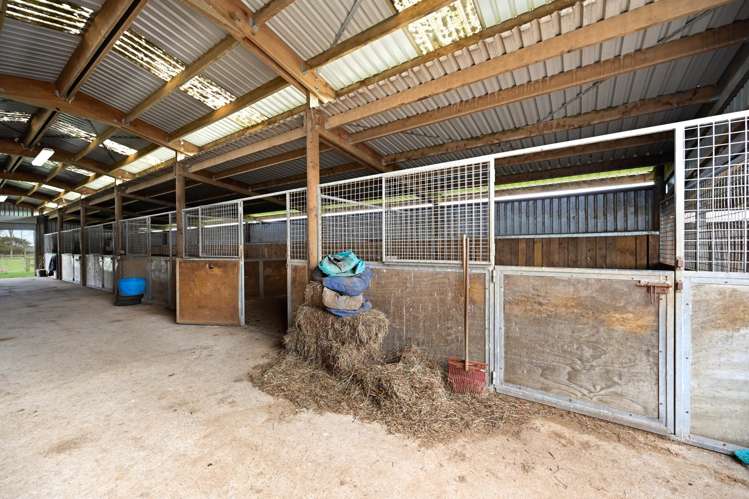 59 Racecourse Road Cambridge_41