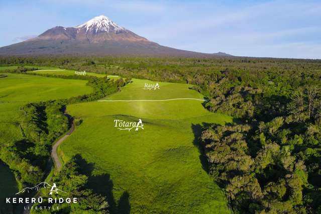 44 Barclay Road Cardiff_1