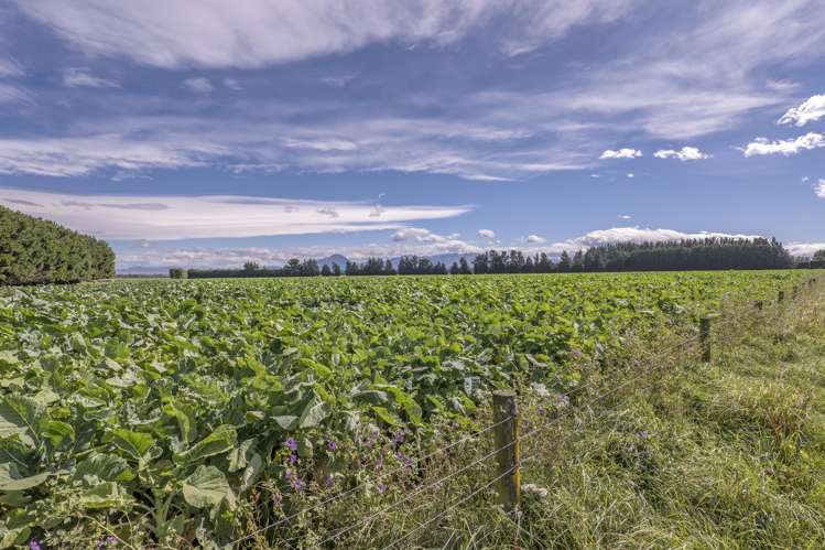 904 Dip Road Methven_16