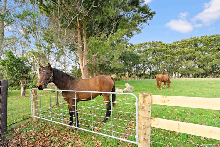 250 Glenbrook Station Road Glenbrook_22