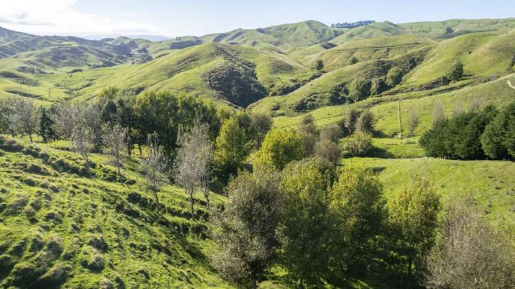 124 Alfredton Road Eketahuna_17