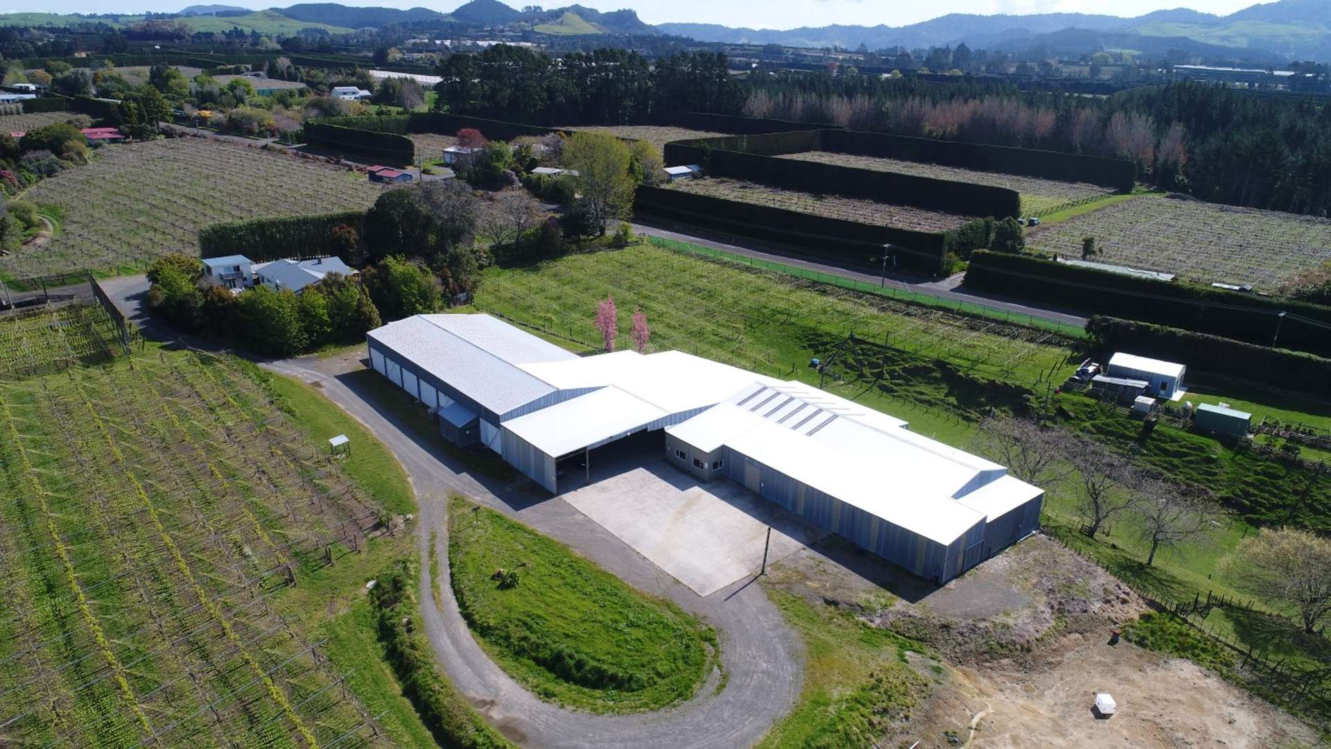 591 No 1 Road Te Puke_0