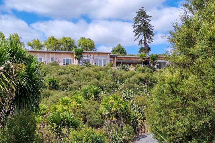 51 Moses Road Kaukapakapa_31