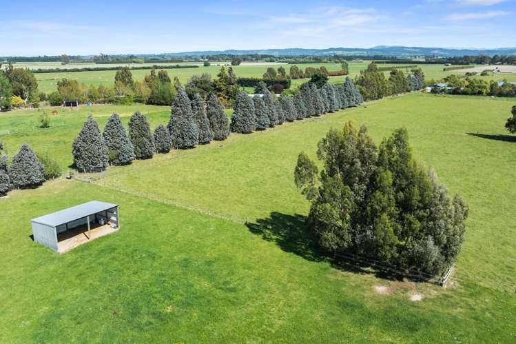 192 Terrace Road Leithfield_41