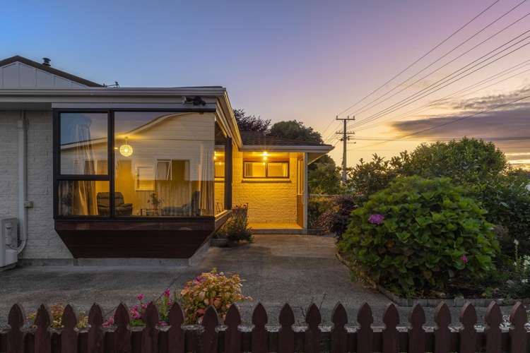 50 Winchester Street Levin_16