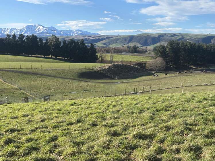 455 Albury Fairlie Road Mackenzie Country_19