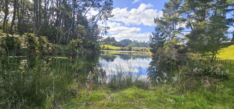 294b Dods Road Waikite Valley_10