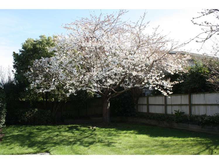 17 Sutton Place Dallington_20